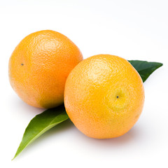 Two oranges on white.