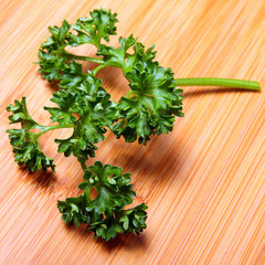 Brin de Persil
