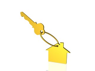 house metallic key