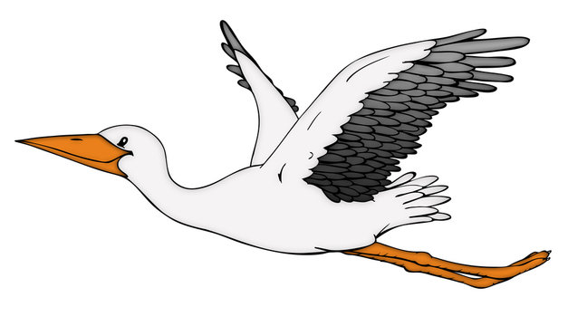 Storch, Klapperstorch, Vogel, fliegen