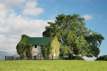 Country house