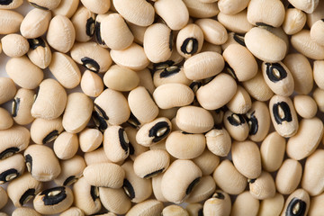 white haricot beans background