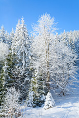 Obraz premium winter mountain landscape