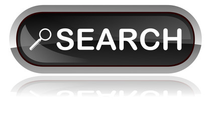 search web button