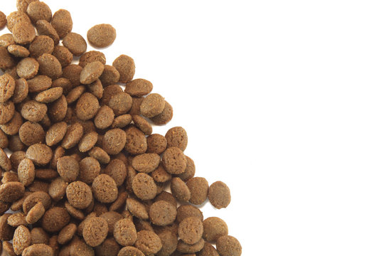 texture of dog or cat food