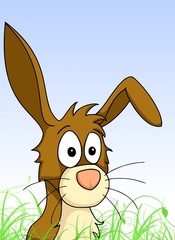 Hase