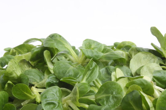 Corn salad