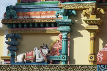 Mauritius , Hindu , Tamil Tempel