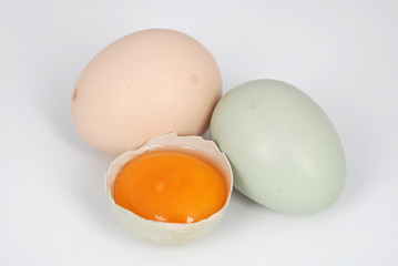 egg