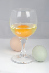 egg