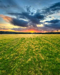 sunset above the filed