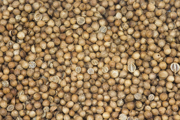 Corander Seeds Background