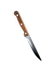 Steak Knife