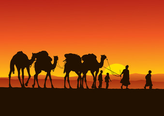 Fototapeta na wymiar Camel Caravan