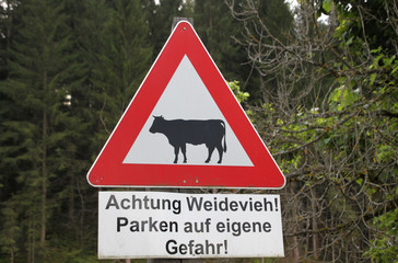Achtung Weidevieh!