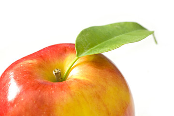 Red apple isolated on white