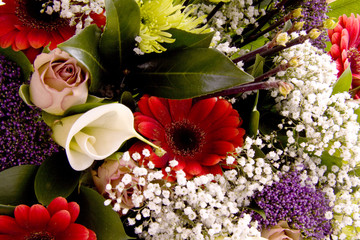 Fancy flowers