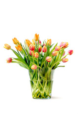 gelbe und rote Tiulpen in Vase aus Glas