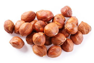 Filbert on a white background