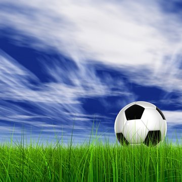 3D black soccer ball,green grass and a blue sky with clouds
