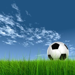 3D black soccer ball,green grass and a blue sky with clouds