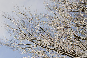 Obraz premium Winter in Deutschland