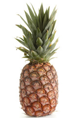 Fototapeta premium Pineapple