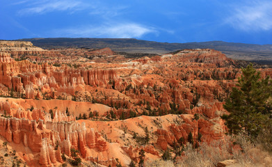 falaise de bryce canyon