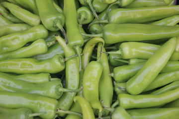 Green pepper