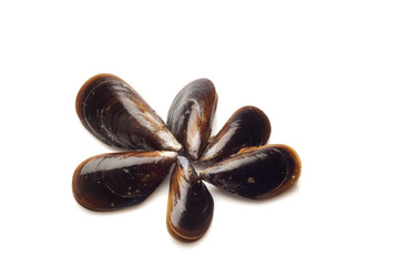 cozze su fondo bianco