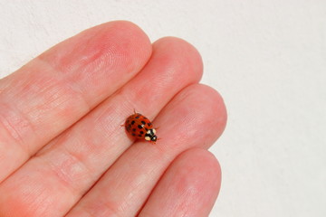 Leben in unserer Hand