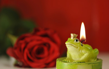 Fototapeta na wymiar candela ranocchio rosa rossa