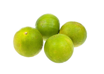 Laime isolated on white background
