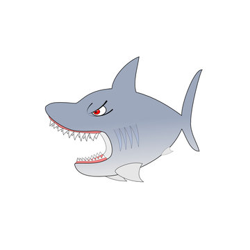 Shark Vector Illustration