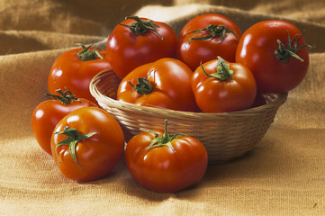 pomodori