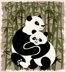 pandas family  in the bamboo forest
