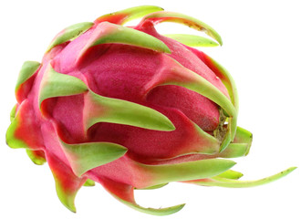 pitahaya exotique,  fruit du dragon, fond blanc