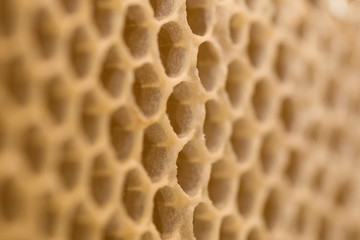 Honey cells