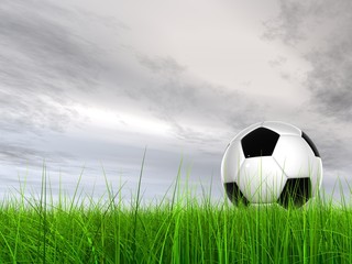 High resolution 3D soccer ball in green grass