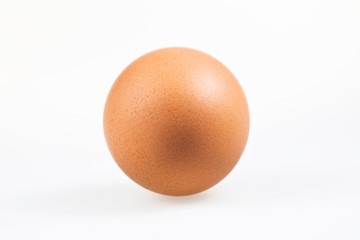 Ei von unten