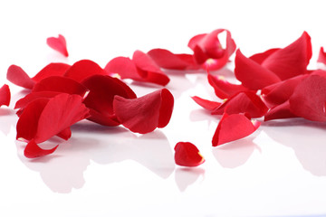Rosenblätter