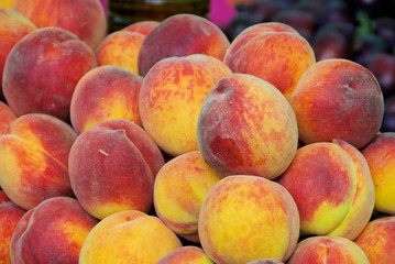 Pfirsich - peach 05