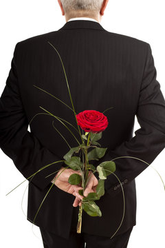 Kavalier mit Rose, &Uuml;berraschung
