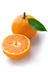 mandarin orange