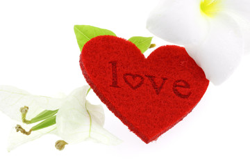 love coeur rouge fleurs bougainvillée frangipanier fond blanc