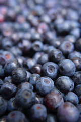 blueberries background
