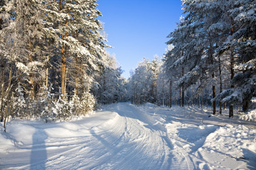The russian winter