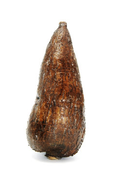 a isolated cassava on a white background