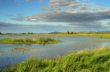 summer lake landscape