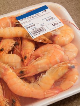 Shrimp